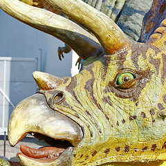 Image showing Triceratops portrait