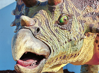 Image showing Triceratops portrait