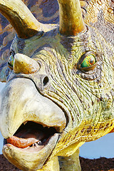 Image showing Triceratops portrait