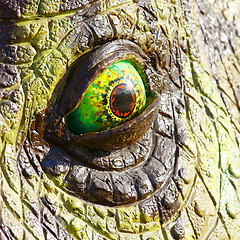 Image showing Triceratops dinosaur eye
