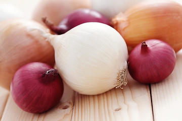 Image showing onions