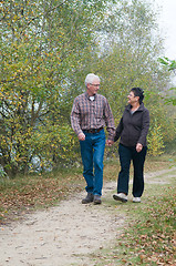 Image showing Walking in the forest