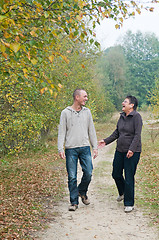 Image showing Walk in the forest