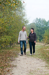 Image showing Walk in the forest