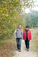 Image showing Walk in the forest