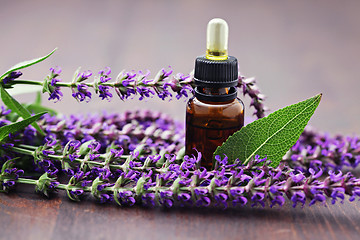 Image showing sage essential oil 