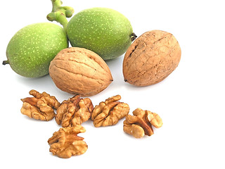 Image showing walnut