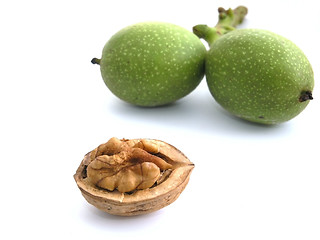 Image showing walnut