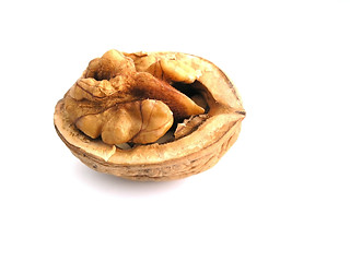 Image showing walnut