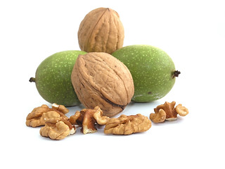 Image showing walnut