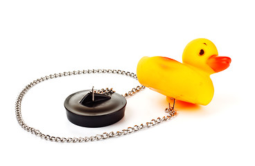 Image showing toy duck with plug for bath