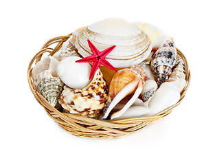 Image showing Seashells in Basket