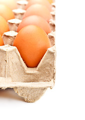 Image showing Eggs In Tray