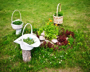 Image showing Baskets With Flowers