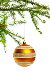 Image showing decoration ball on fir branch