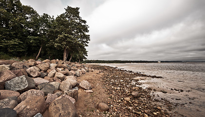 Image showing Desolate Rocky Beach