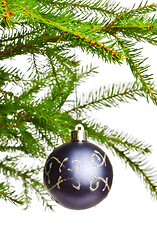 Image showing decoration ball on fir branch