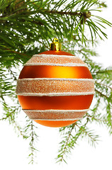 Image showing decoration ball on fir branch