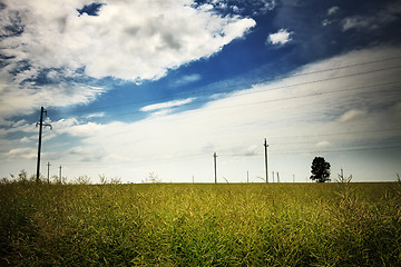 Image showing Nature Rural Landscape