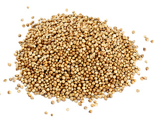 Image showing coriander seeds