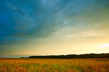 Image showing Evening Summer Landscape