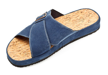 Image showing blue slipper