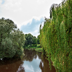 Image showing river in forest