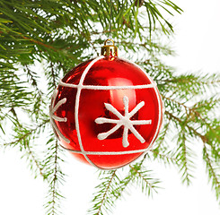 Image showing red decoration ball on pine branch