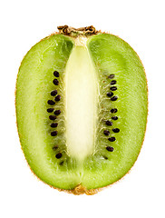 Image showing Kiwi Slice