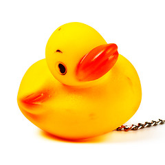 Image showing toy duck for bath