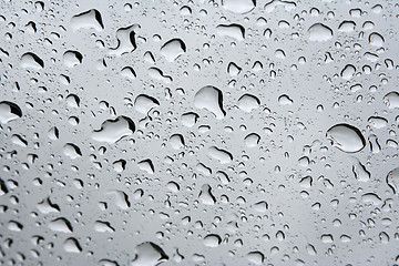 Image showing Rain drops