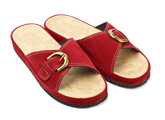 Image showing red slippers