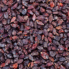 Image showing black barberry