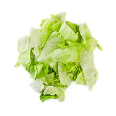 Image showing Green Iceberg Salad