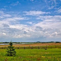 Image showing Nature Rural Landscape