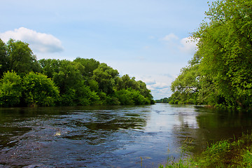 Image showing river in forest