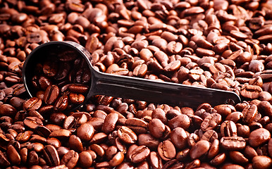 Image showing Coffee Beans and Measuring Spoon