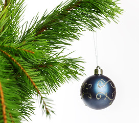 Image showing blue decoration ball on fir branch