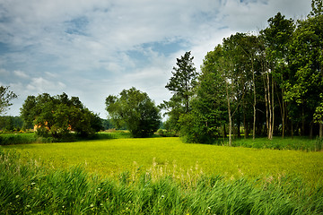 Image showing Nature Rural Landscape