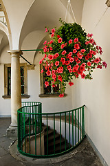 Image showing flowers in gallery