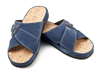 Image showing two blue slippers