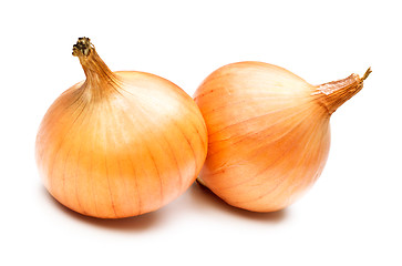 Image showing Two Onions