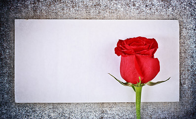 Image showing Red Rose and Letter