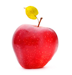 Image showing Red Apple