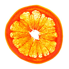 Image showing Grapefruit