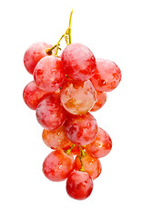 Image showing bunch of red grape