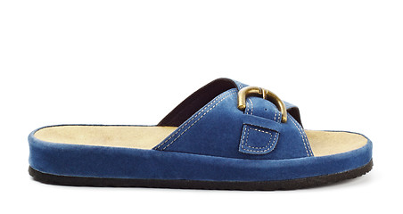 Image showing blue slipper 