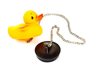 Image showing toy duck with plug for bath
