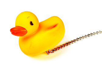 Image showing toy duck for bath