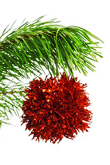 Image showing decoration ball on pine branch